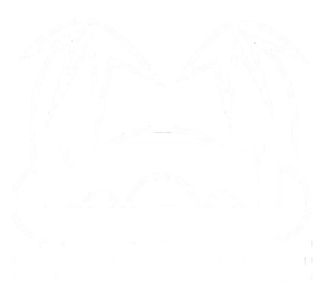 Kochi